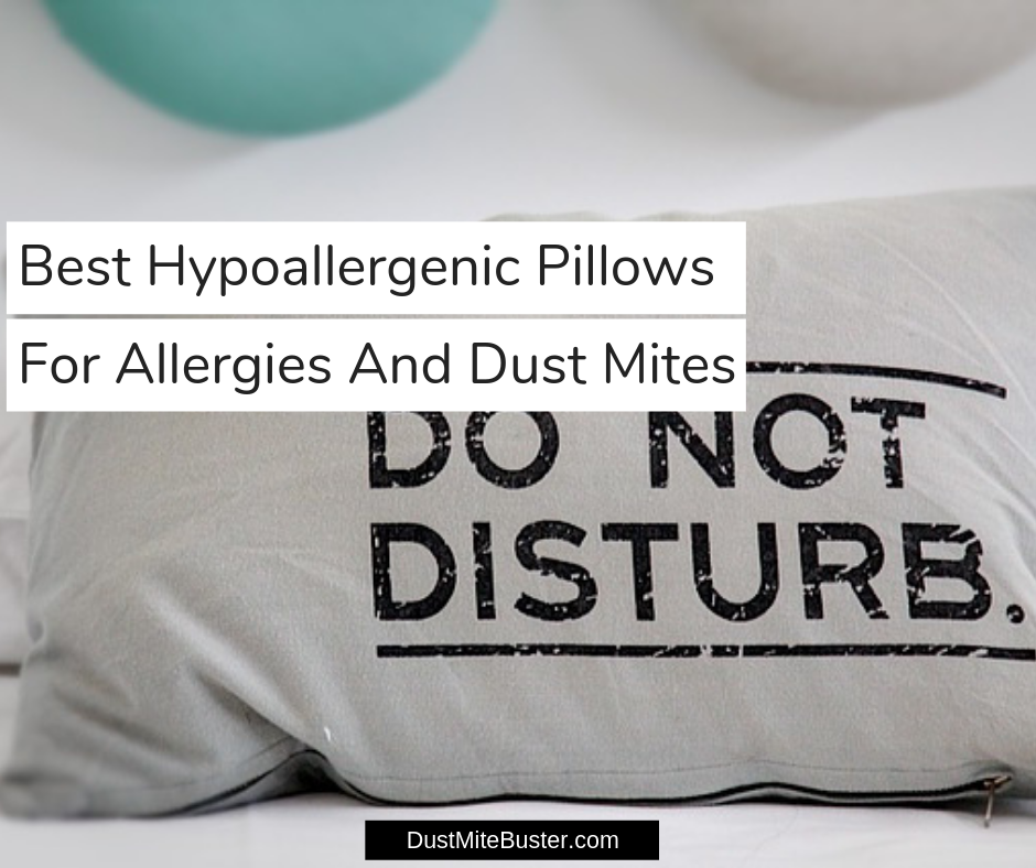 Best Hypoallergenic Pillows For Allergies And Dust Mites 2020