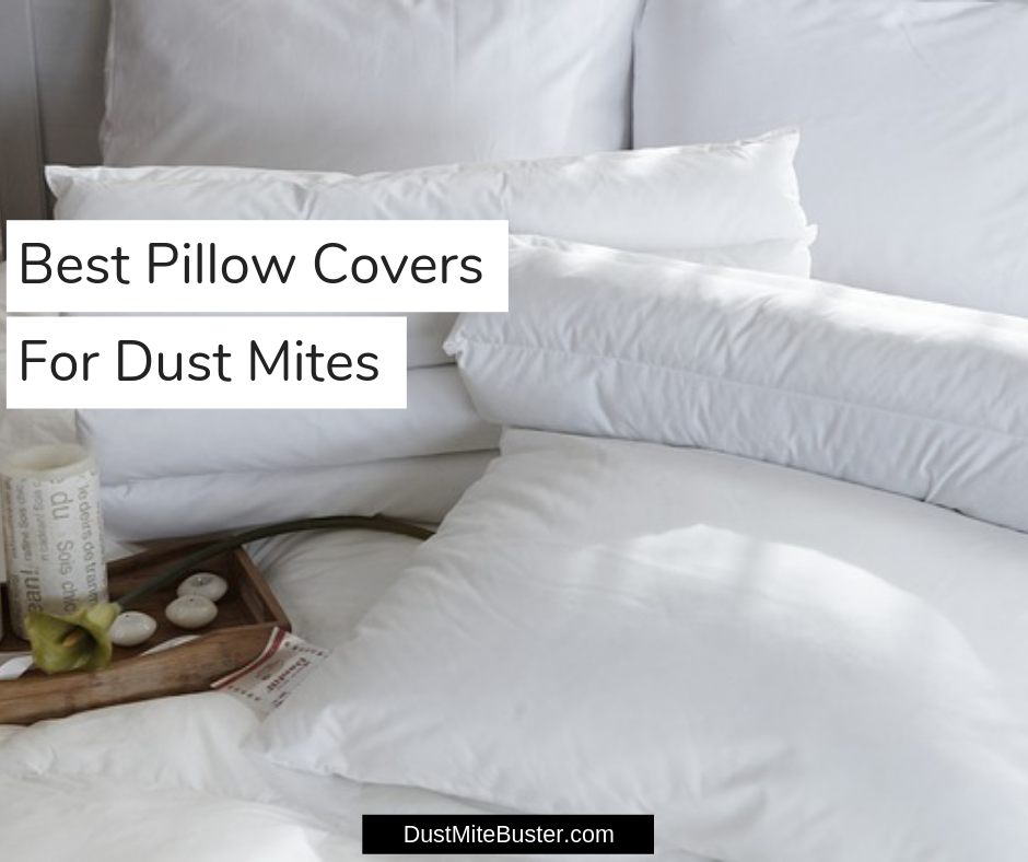 Best Pillow Covers For Dust Mites 2019