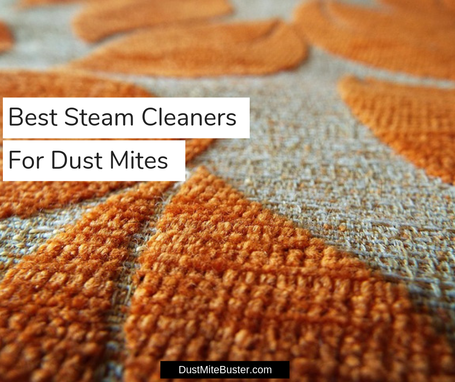 Best Steam Cleaners For Dust Mites Infested Carpets 2019