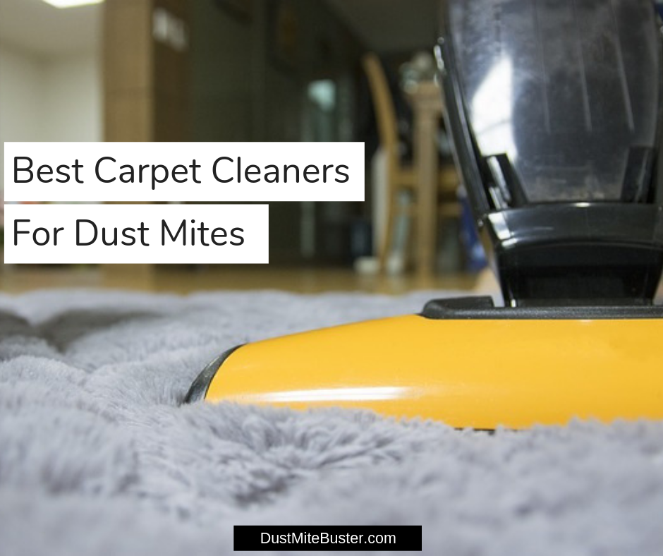 Best Carpet Cleaners For Dust Mites 2020