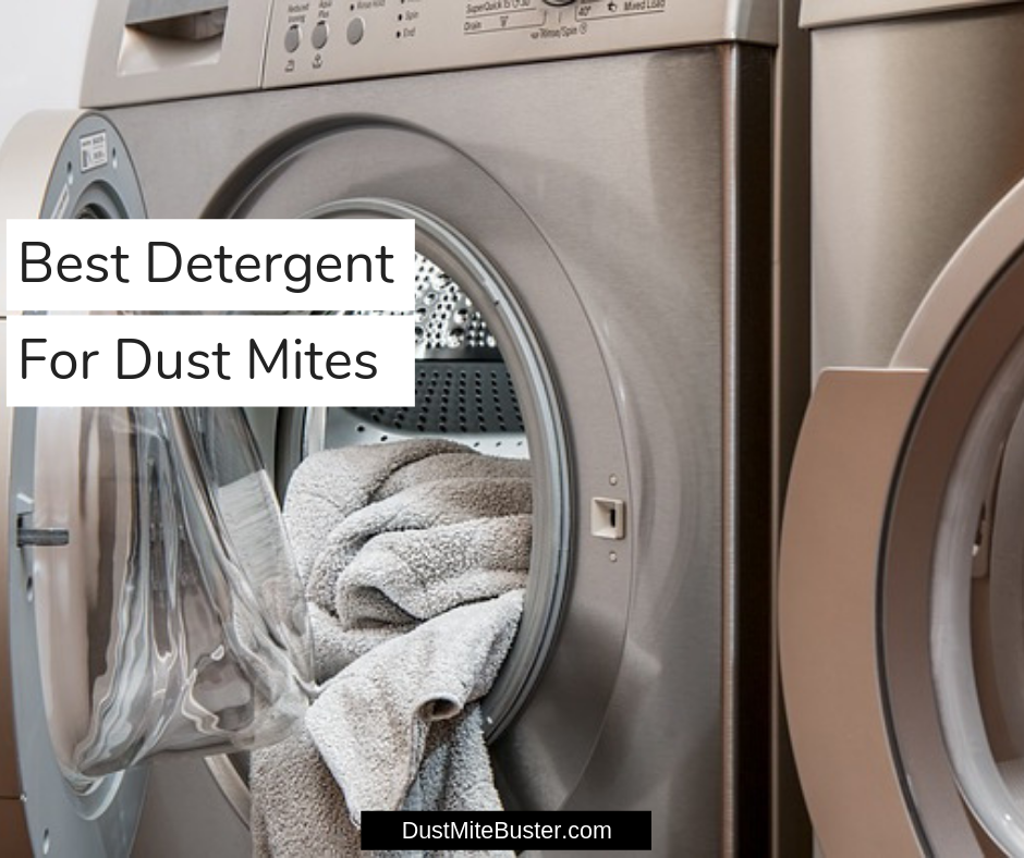Best Detergent for Dust Mites 2020