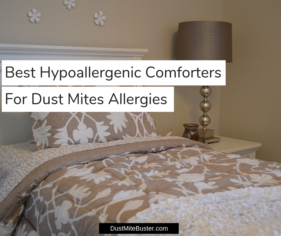 Best Hypoallergenic Comforters For Dust Mites Allergies 2020