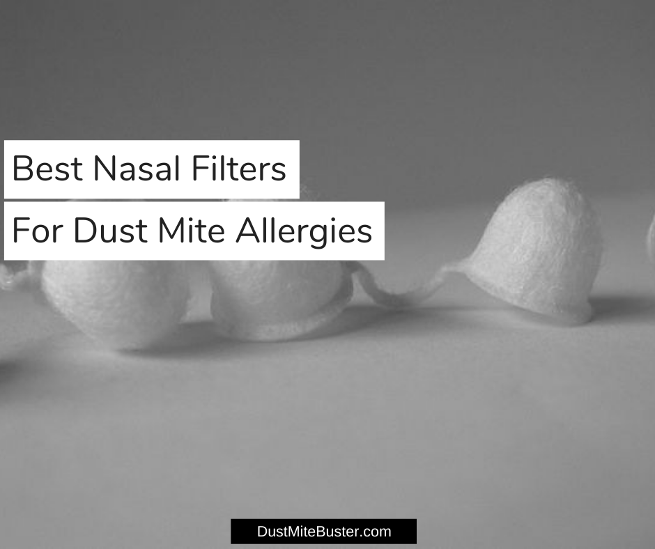 Best Nasal Filters For Dust Mites Allergies 2020