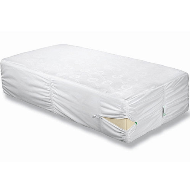 Best Dust Mite Covers For Mattress (2023 Update)