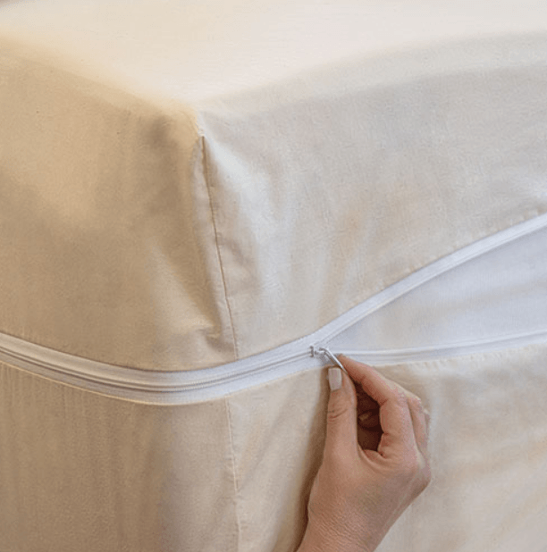 Mattress Cover Anti Dust Mite at Annabelle Muth blog