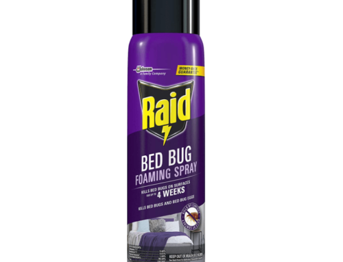 Does Raid Kill Bed Bugs?