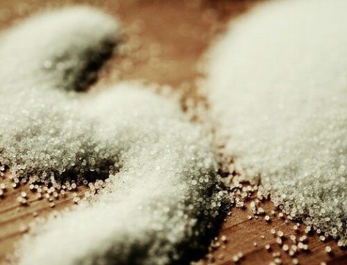 Does Salt Kill Bed Bugs?
